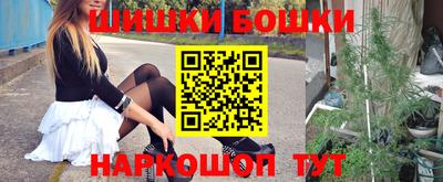 мет Новозыбков
